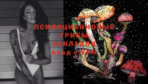 мдпв Осинники