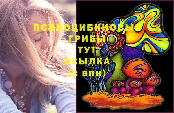 стаф Вязники