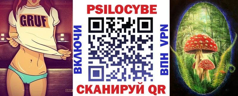 Псилоцибиновые грибы Psilocybe  хочу   Лукоянов 